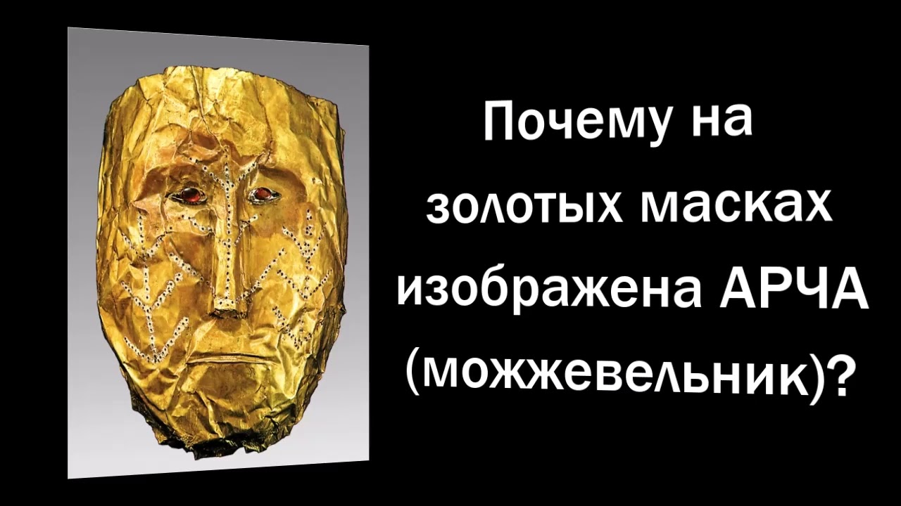 Почему на золотых масках изображена АРЧА (можжевельник)?