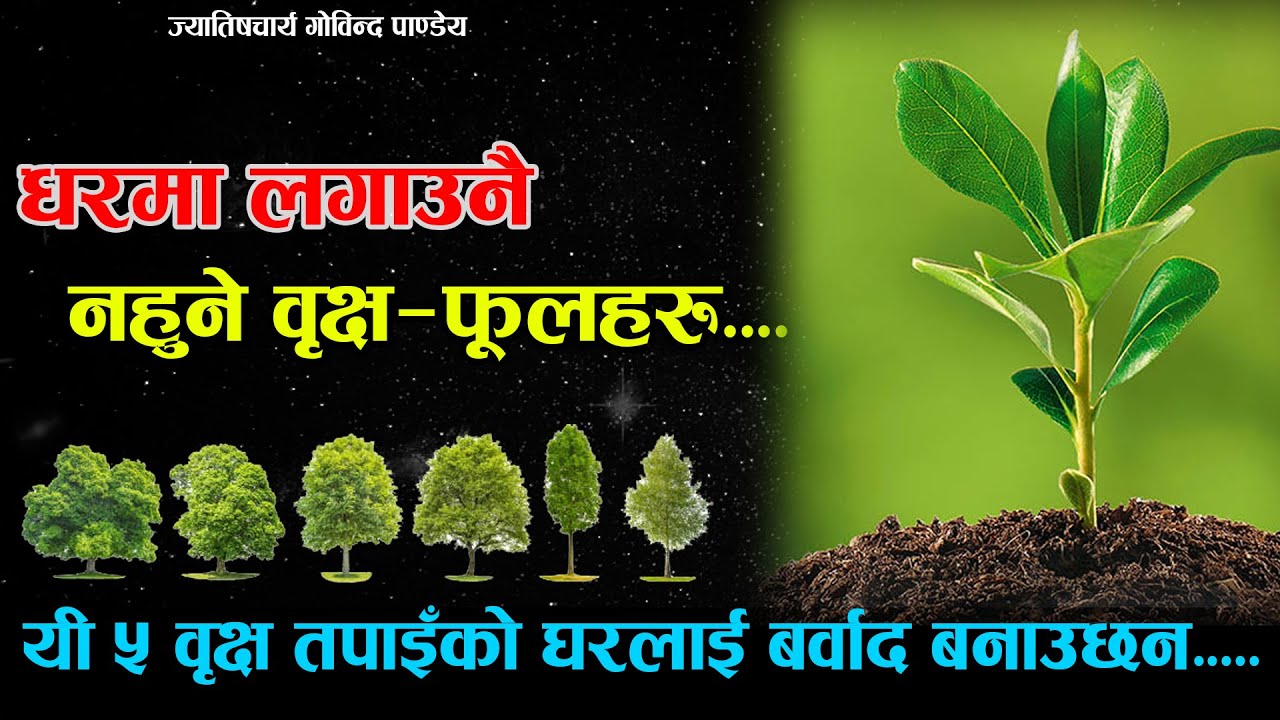 घरमा लगाउनैनहुने 5 फूल/ रुख हरु के के हुन ?? हुनेछ कलह,धननाश,पैसा फस्ने आदि समस्या