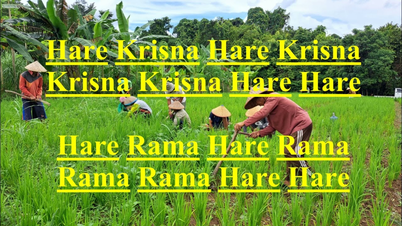 Hare krisna song 16