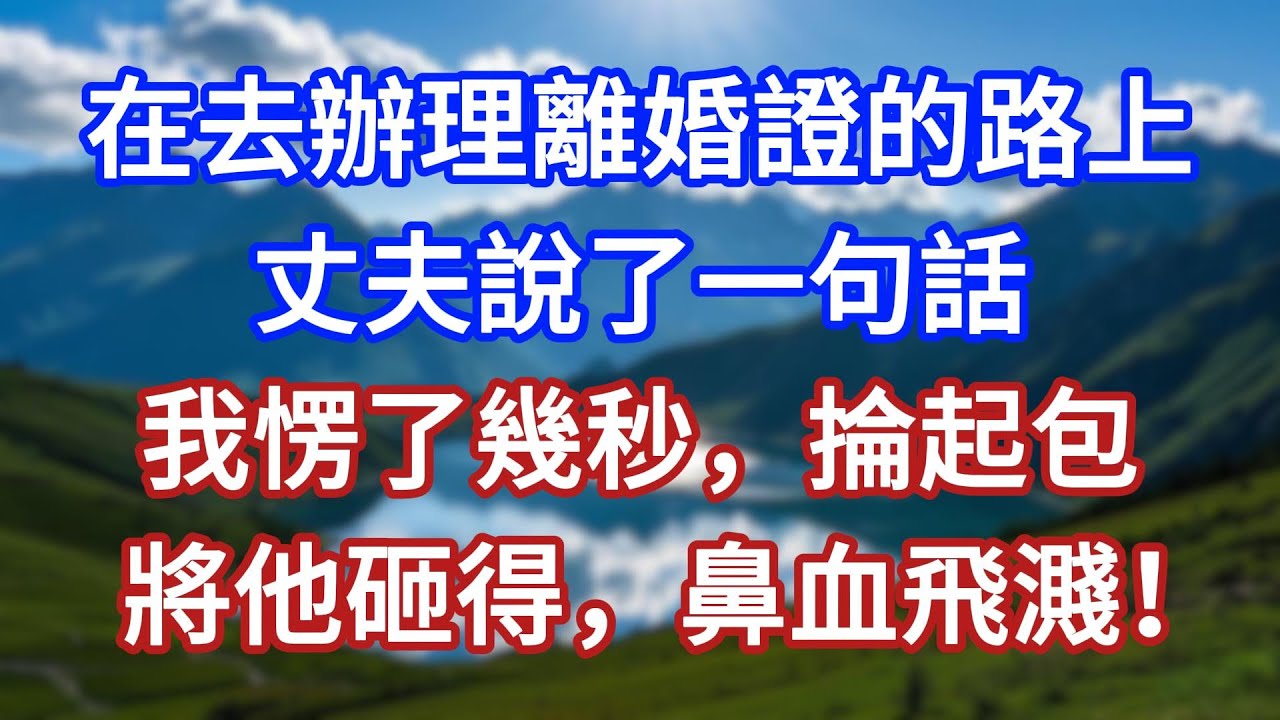 在去辦理離婚證的路上，丈夫說了一句話，我愣了幾秒，掄起包，將他砸得，鼻血飛濺！#言情故事#情感故事#家庭故事#小說#戀愛#婚姻