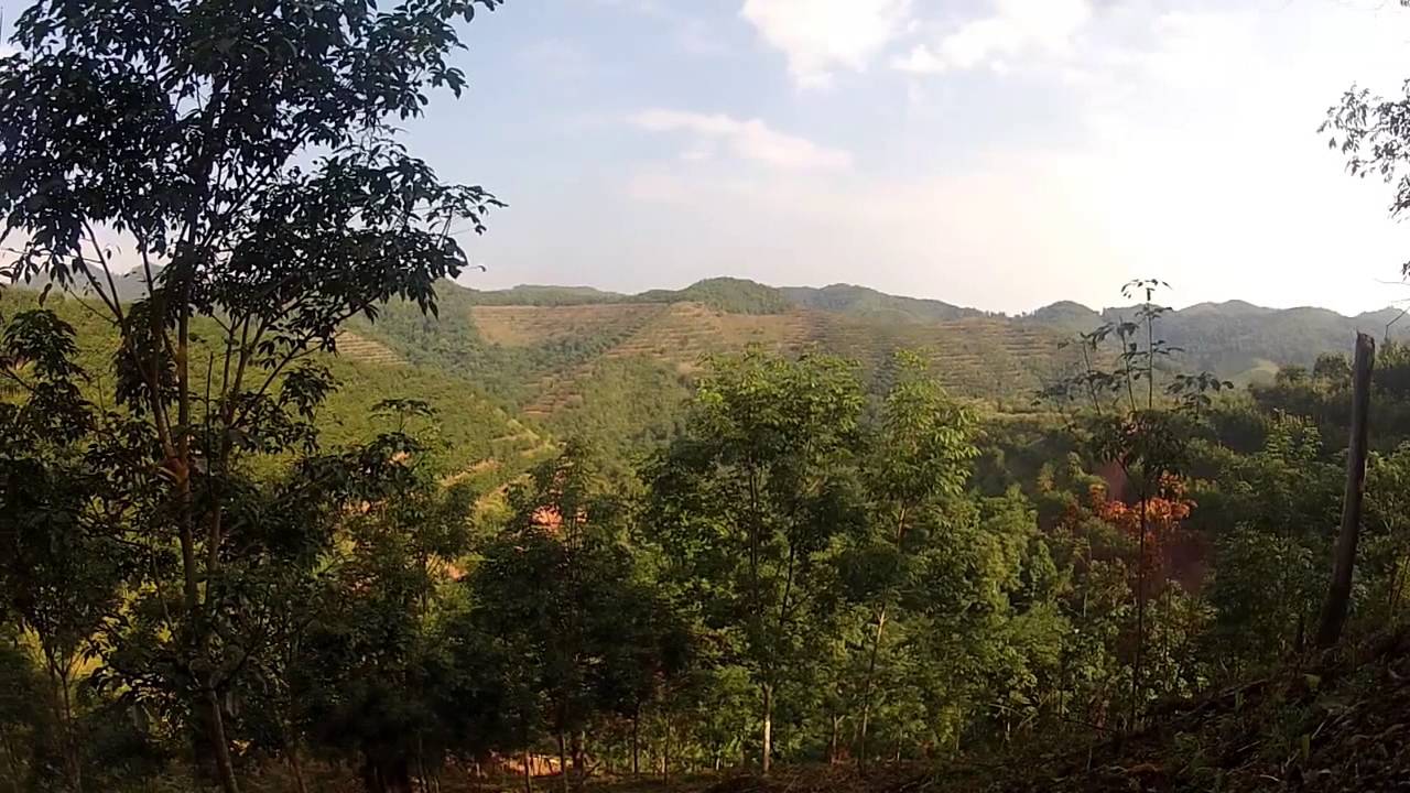 2 days trek in the Nam Ha Protected Area - Into the Wild Namtha