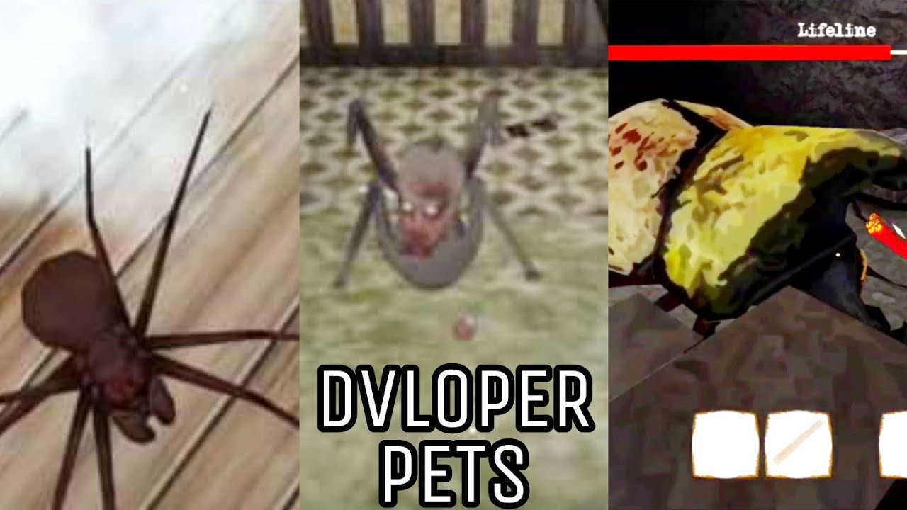 DVLOPER PET BATTLE - THE TWINS PET, GRANNY PET AND GRANNY CHAPTER TWO PET