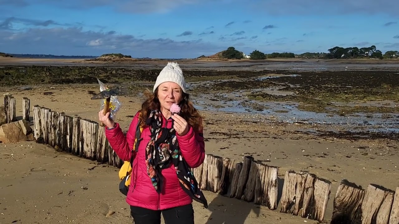 Pêche à marée basse à l'île Callot à côté de Morlaix
