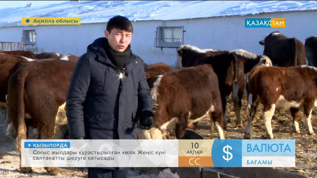 Журавлевка өңіріндегі шаруашылық