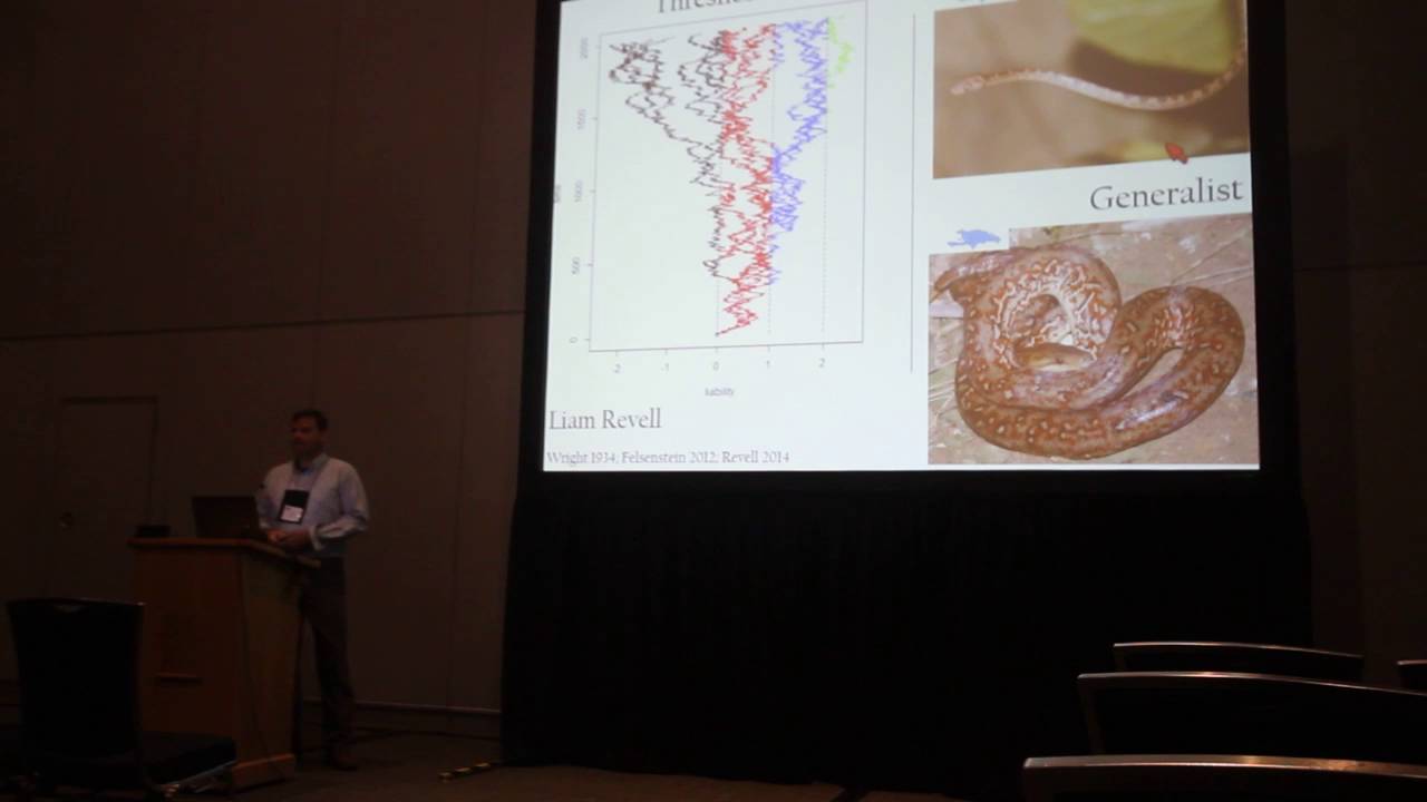 Reynolds:ECOLOGICAL SPECIALIZATION AND MORPHOLOGICAL DIVERSIFICATION IN GREATER ANTILLEAN BOAS