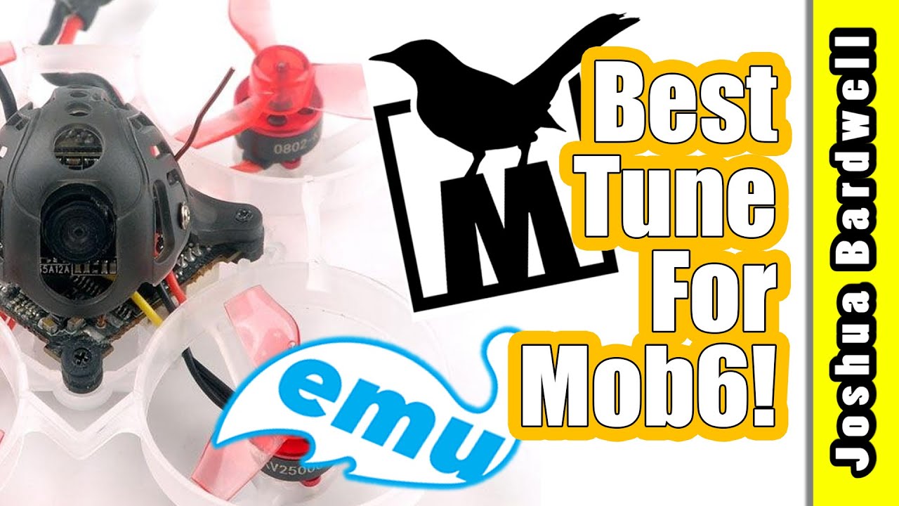 The best my Mobula6 ever flew EMUFLIGHT PROJECT MOCKINGBIRD