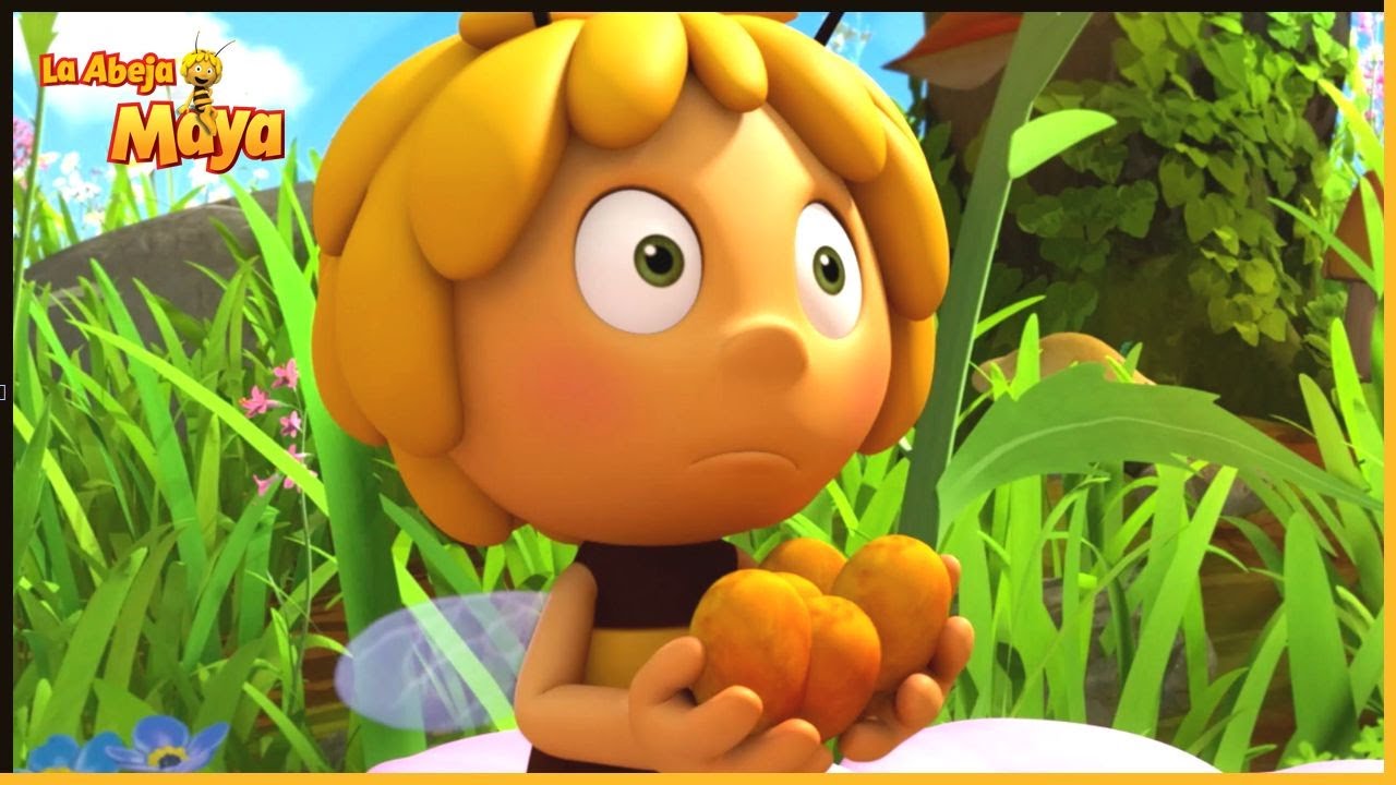 Maz no pega ojo | La Abeja Maya | 60' Compilación