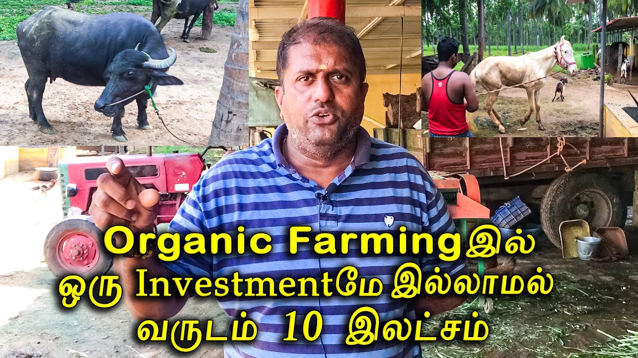 Organic farmingஇல் ஒரு investmentமே இல்லாமல் வருடம் 10 இலட்சம் சம்பாதிக்கும் || KOVAI BEST FARMER