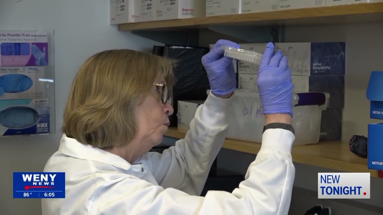 Cornell University's College of Veterinary Medicine Receives $19.5M in Capital Investment