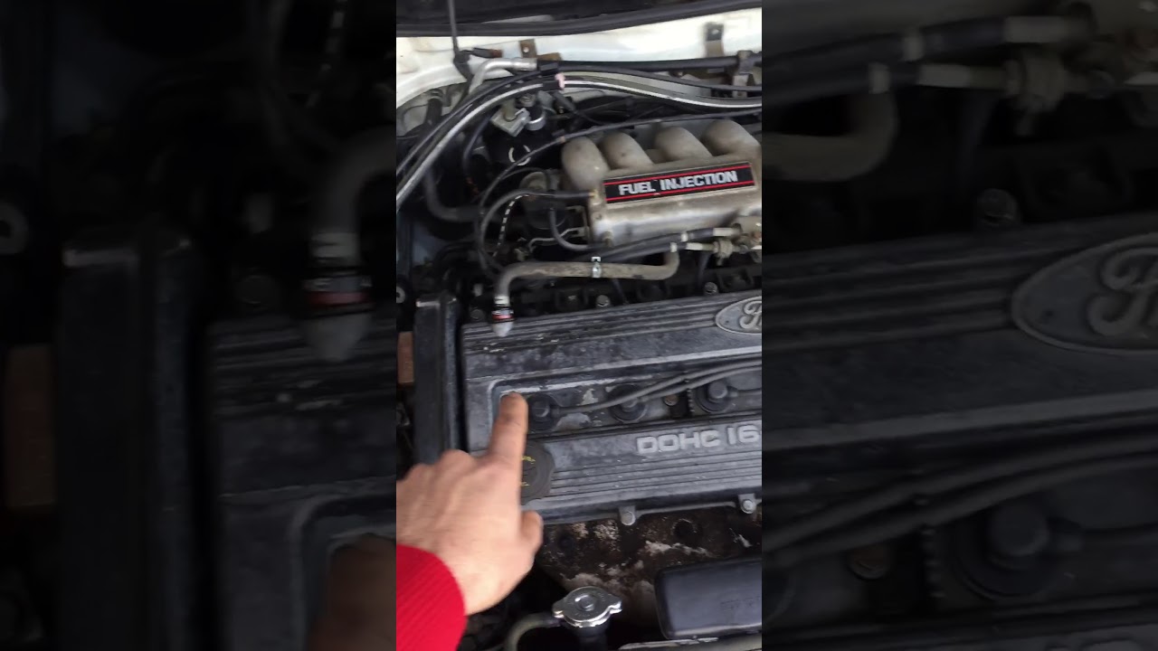 95 ford sexcort