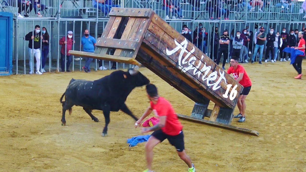 🟢2021 ALGINET 16 ◾ CONCURSO de 5 TOROS 5 Ganaderias