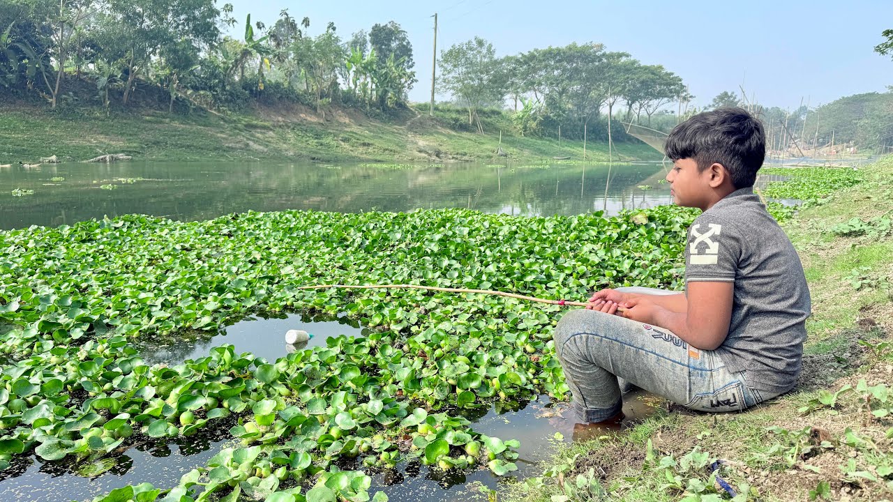 Amazing fishing moment || smart boy hunting fish with single hook by river || #fishing #fishcatching