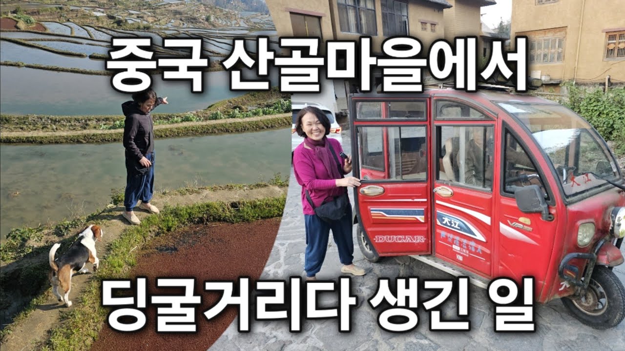 중국산골마을에서 생긴 일