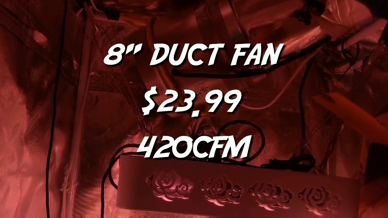Cost of Cheap Budget Marijuana grow tent