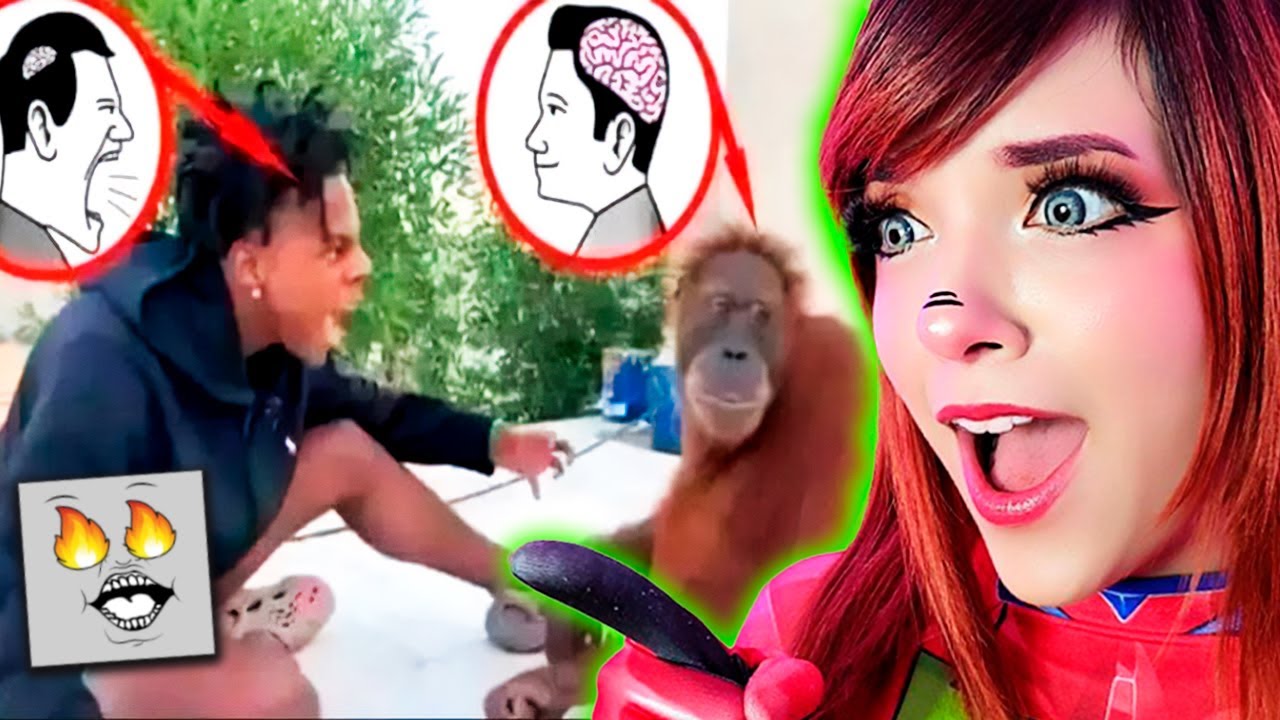 REACCIONANDO A 1 HORA DE MOMENTOS XD #146