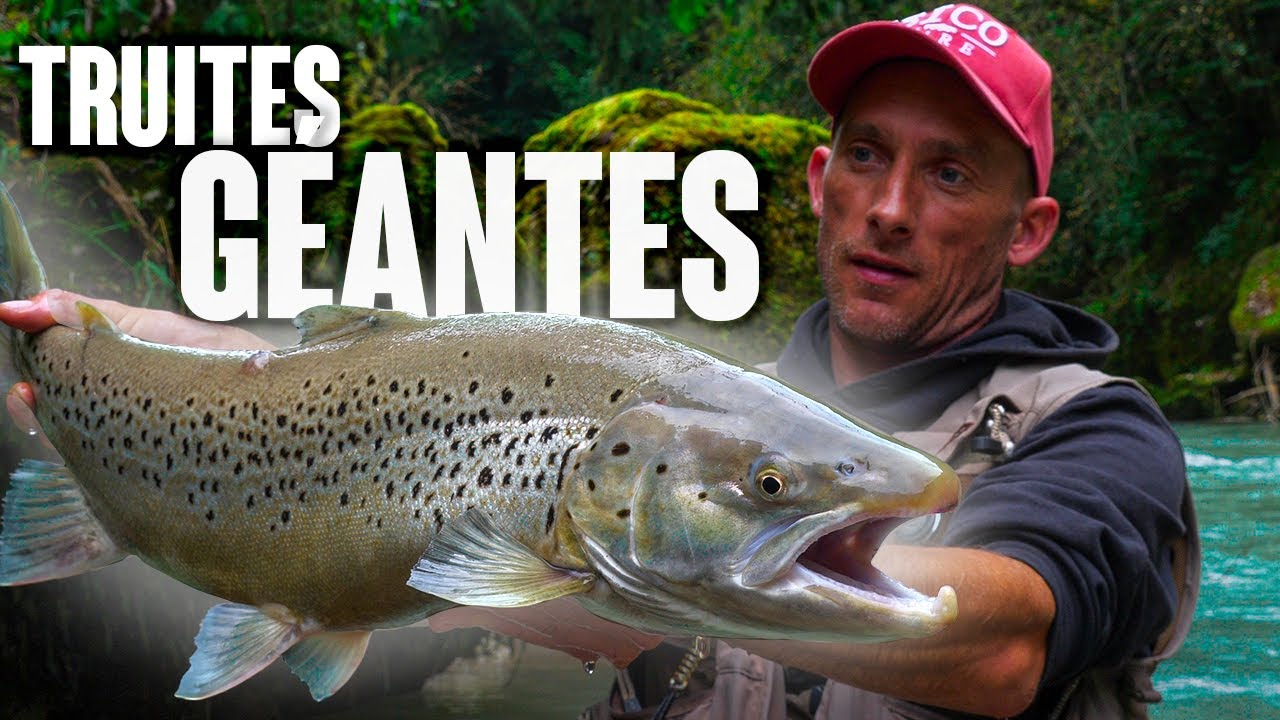 Truites LACUSTRES : Une session de pêche LÉGENDAIRE !