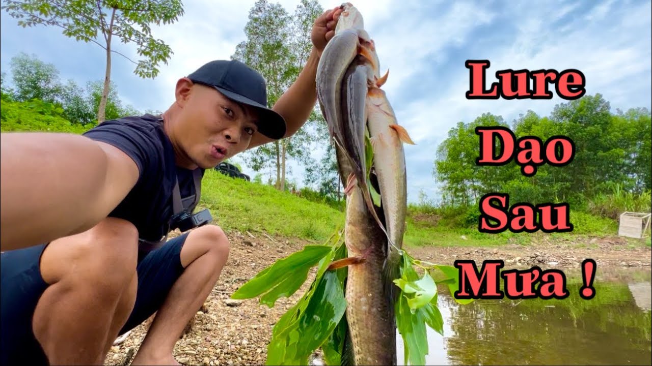 Lure Dạo Cả Xâu Cá - Dính Cả Trắm Đen