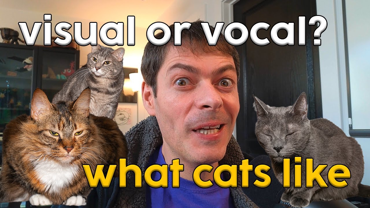 Visual vs vocal communication with cats—Science paper reviews with Greg Fridman