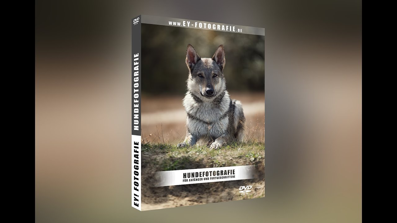 Hundefotografie für Anfänger und Fortgeschrittene (Ausschnitte aller Kapitel der Lern-DVD)