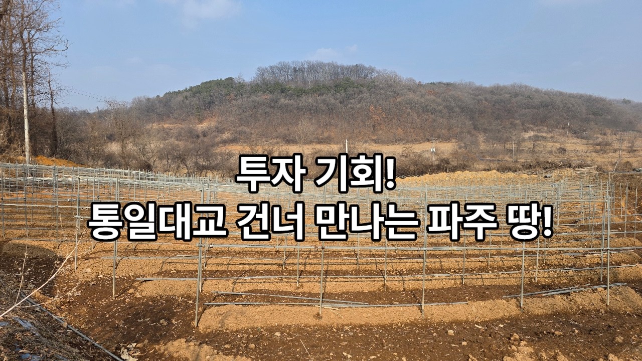 파주  접경지역  민통선토지 장단면 노상리 614평