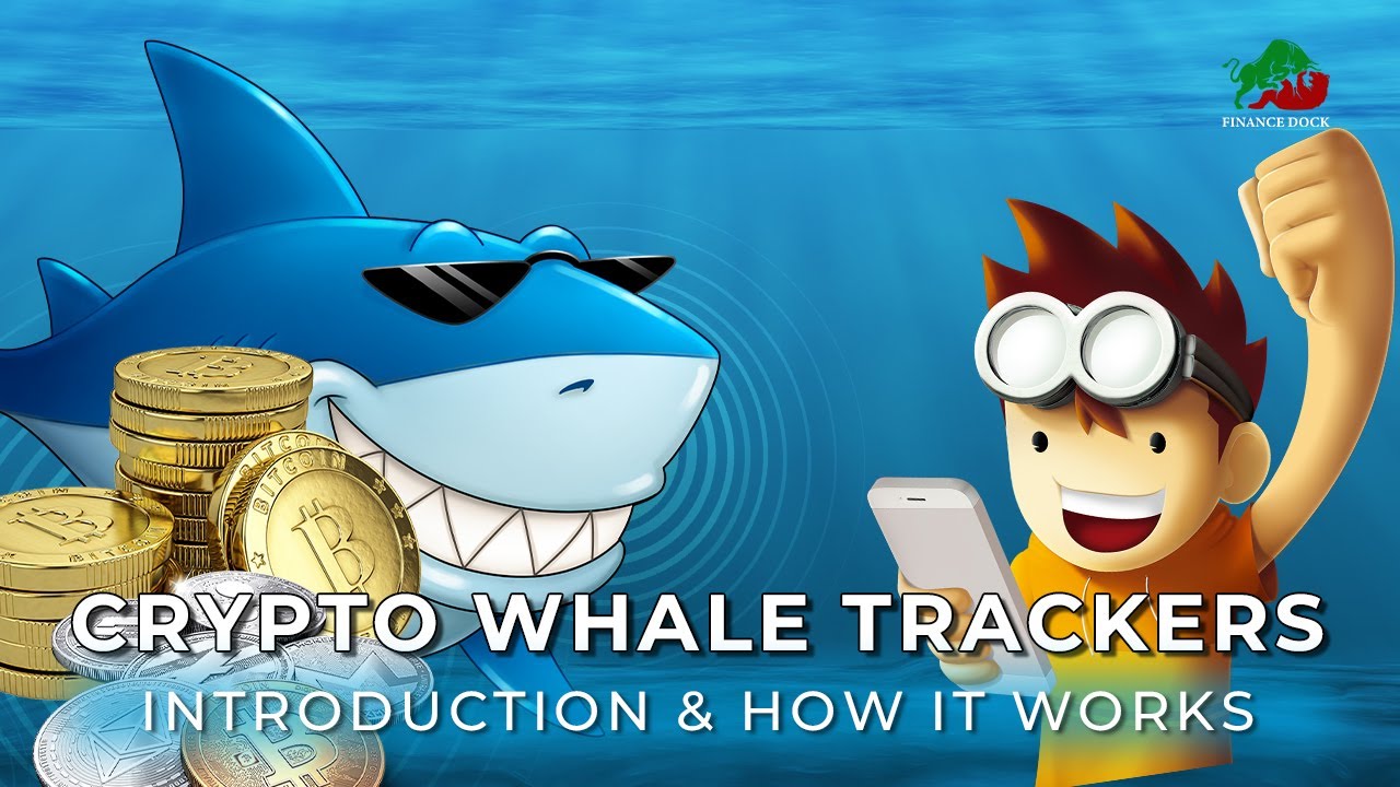 What are Crypto Whale Trackers || How does Crypto Whale Tracker Work || Crypto Trading for Beginners