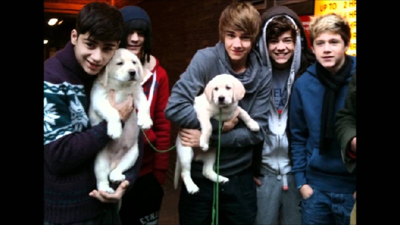 one direction video made by birthe larsen!