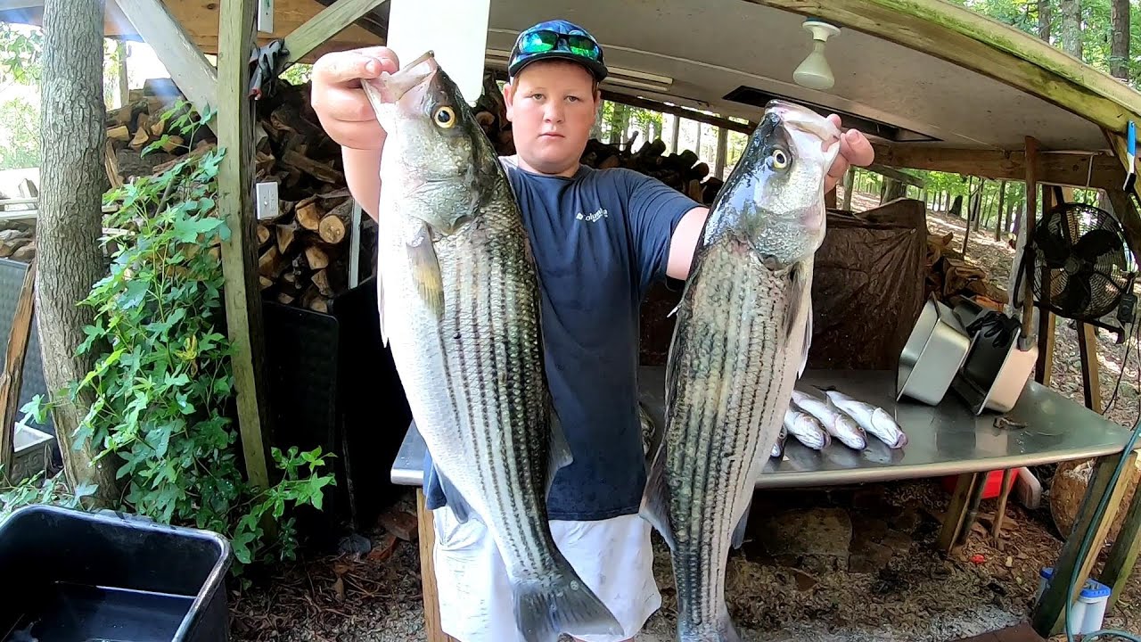 Striper Bonanza Flutter Spoon Action With Carson