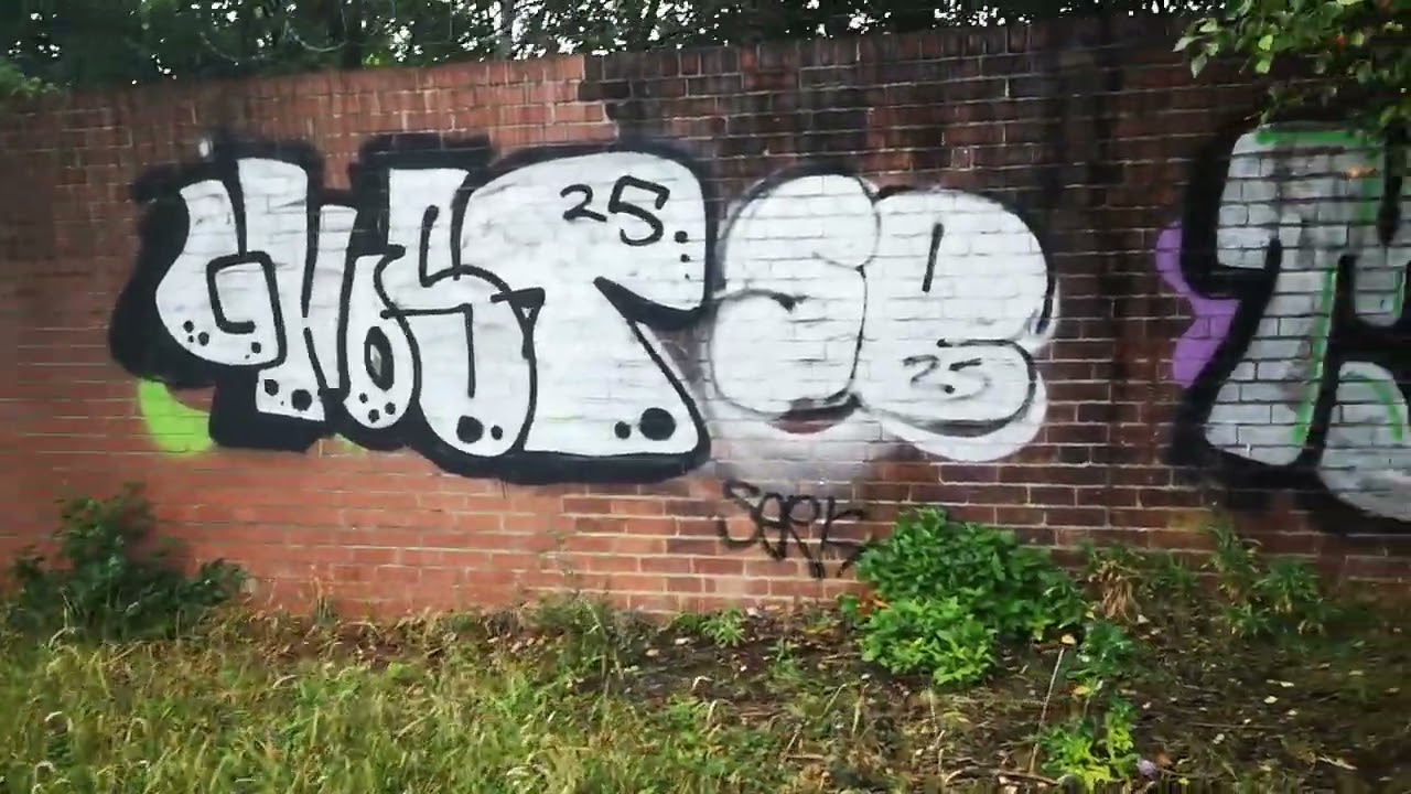 Newcastle  2025 #graffitiuk #nottingham #graffiti #ncfc #nffc #puttinworkin22 #stillupataspot