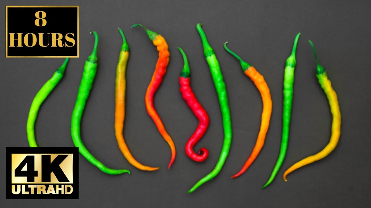 Chili Colorful Food Wallpaper Screensaver Background 4K 8 HOURS
