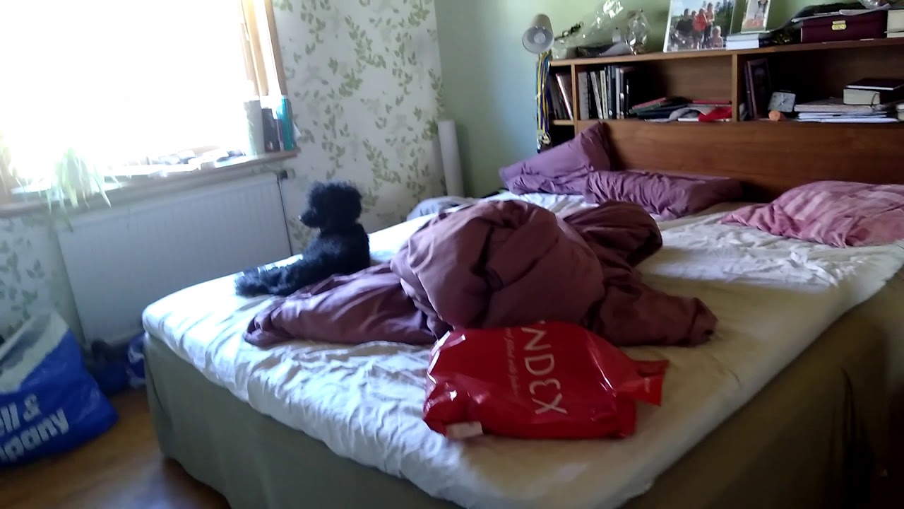 Charlie g&ouml;tar sig