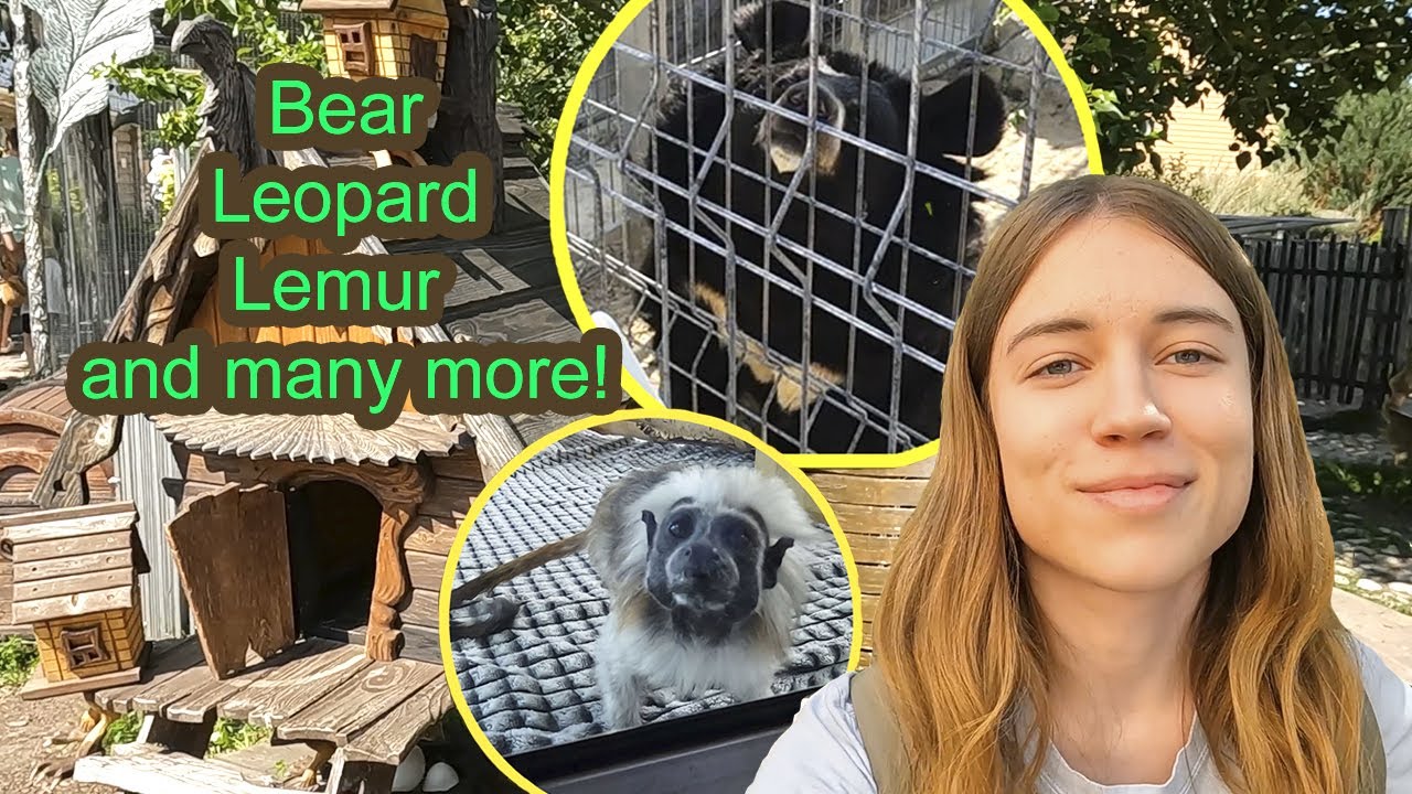 Me at the Zoo 🐆 | Russia, Siberia