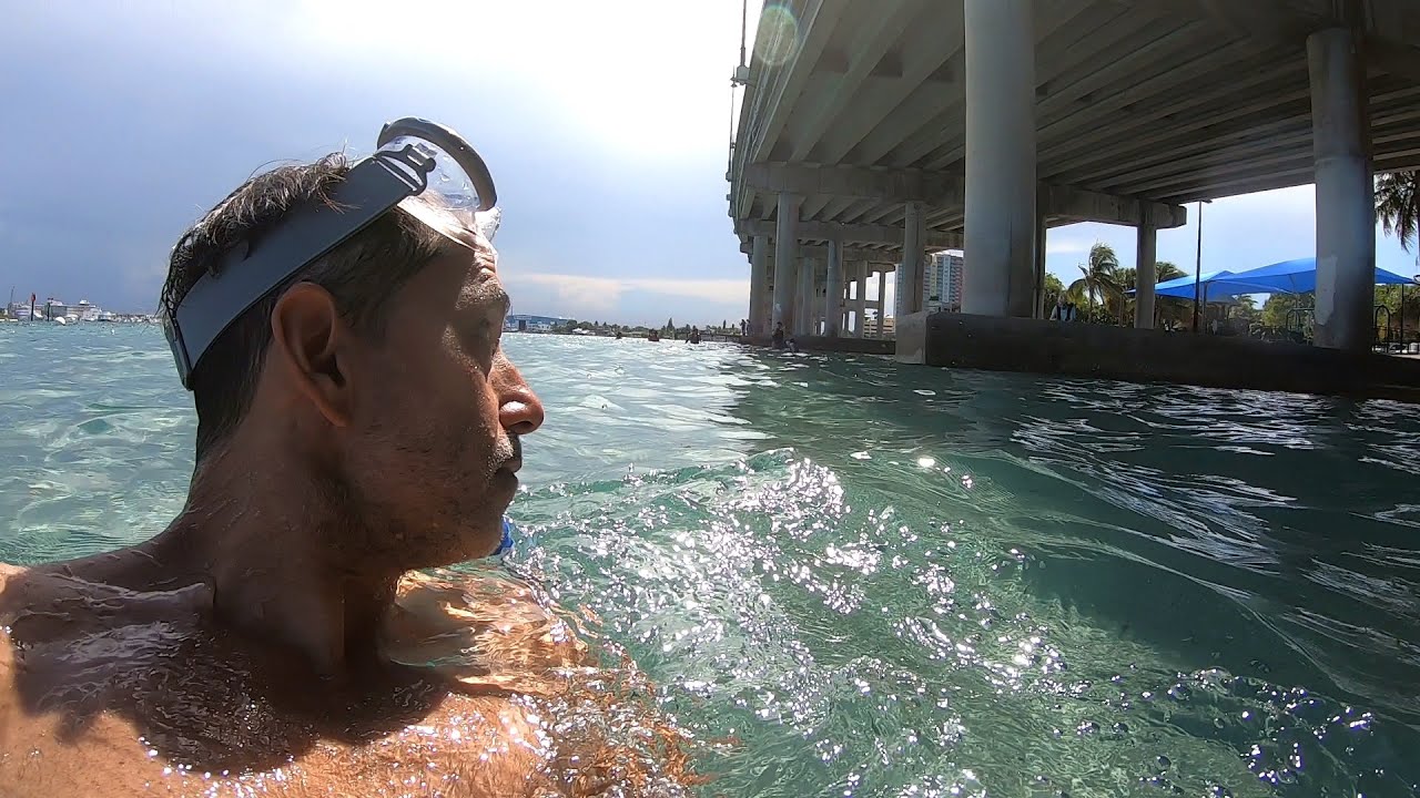 Snorkeling Adventure Gone Wrong: Dangerous Currents at Phil Foster Park