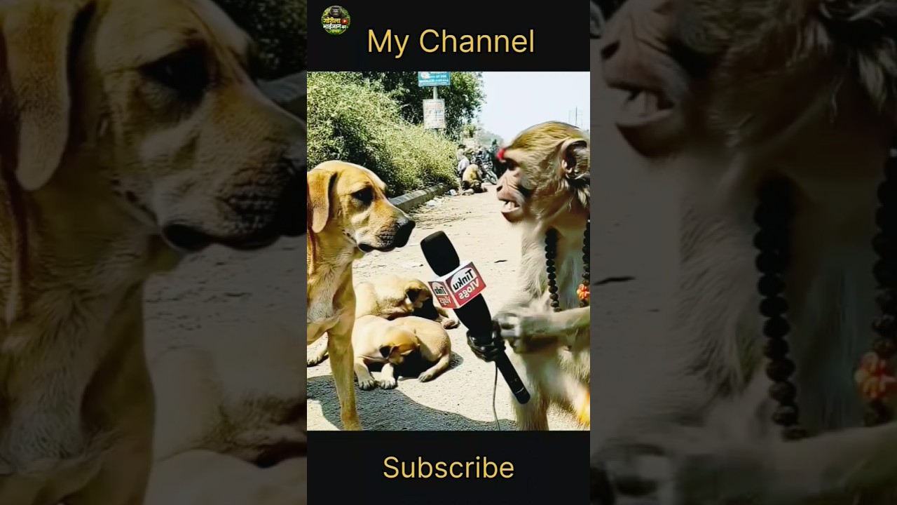 kya English Bhut Hard Hota hai  😂😂😂