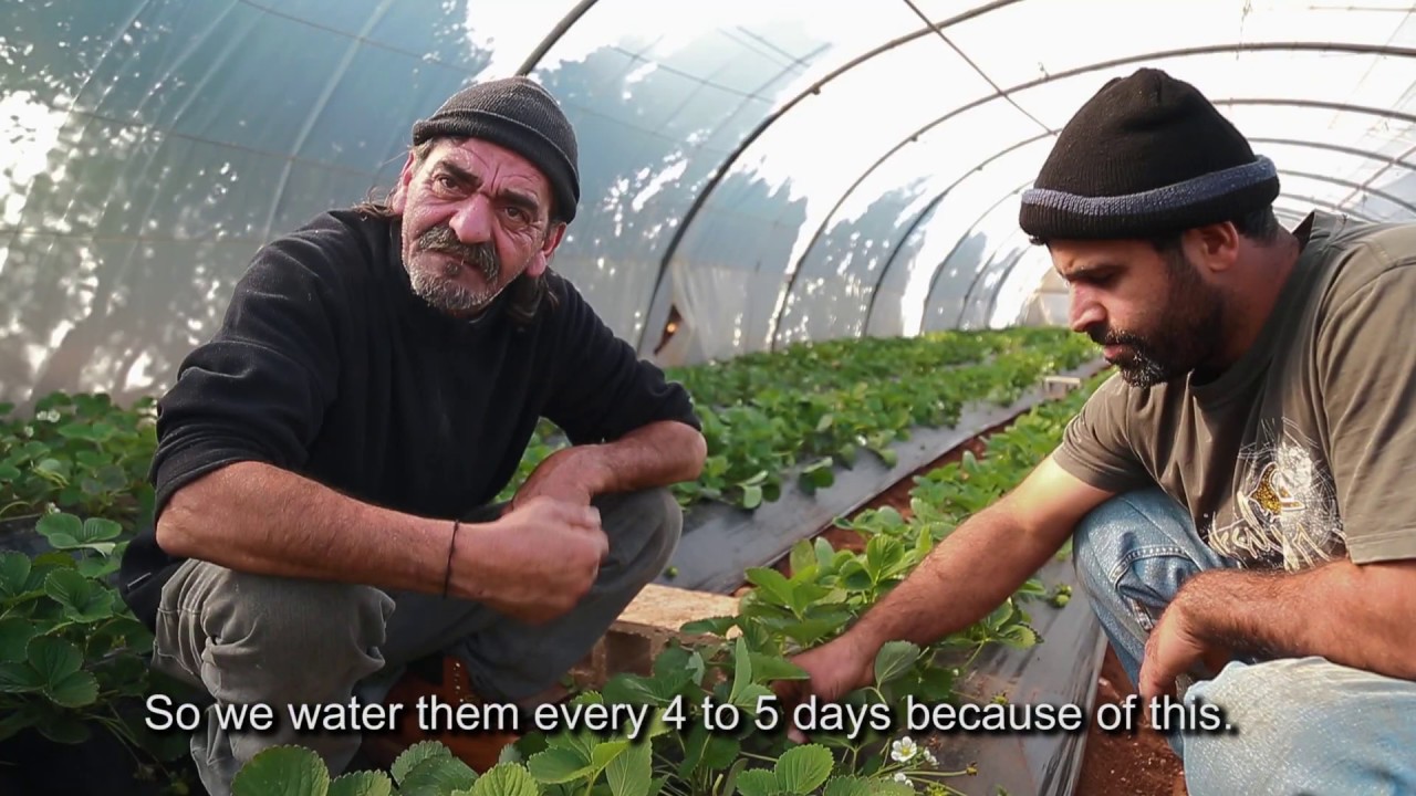 Is Organic Farming In Lebanon Real? | The Story Of Our Farmer | Better Life Market