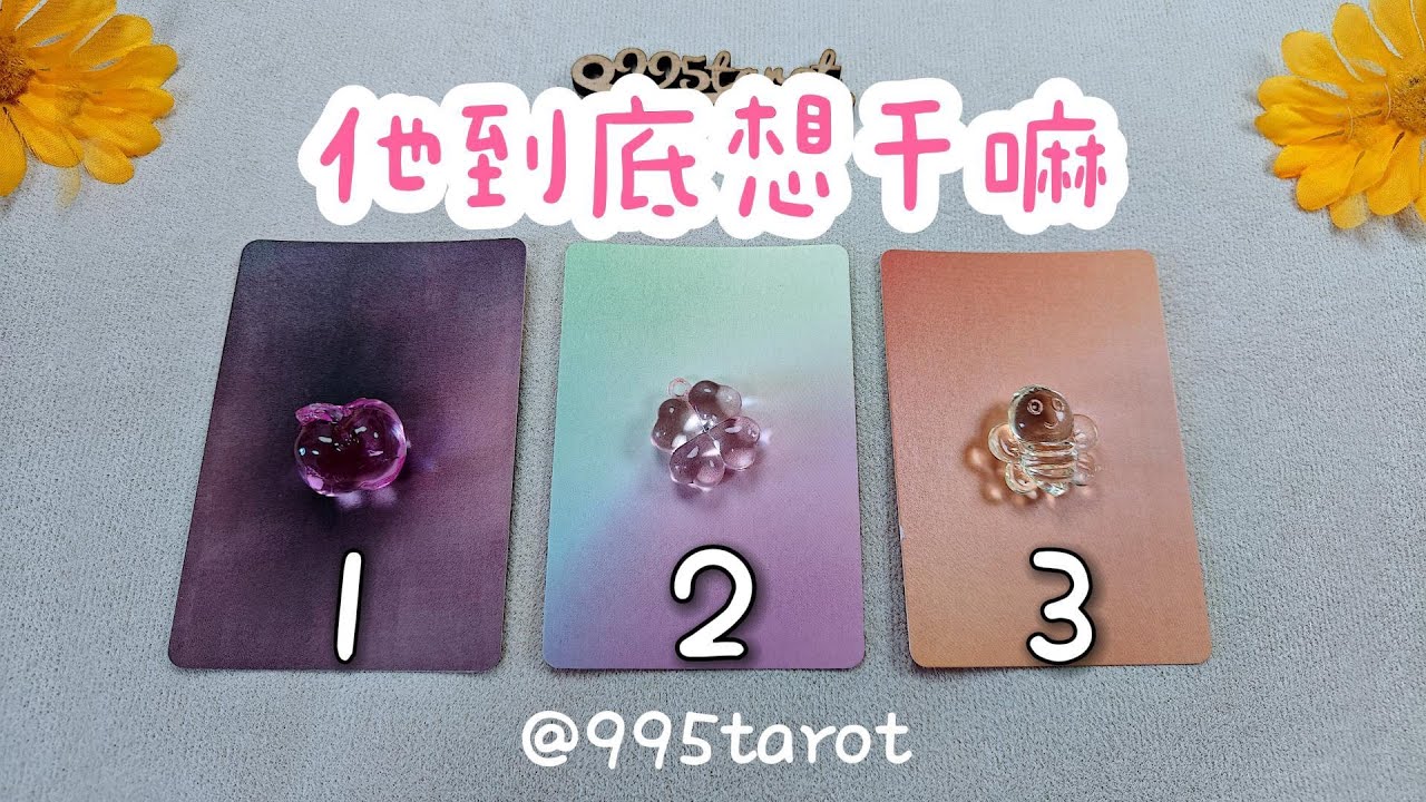 他到底想干嘛？他的期待，他對關系的打算，后續的行動？ |曖昧|愛情|感情|桃花|塔羅占卜|