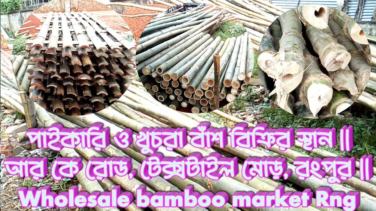 পাইকারি ও খুচরা বাঁশ বিক্রির স্থান || আর কে রোড, টেক্সটাইল মোড়, রংপুর || Wholesale bamboo market Rng