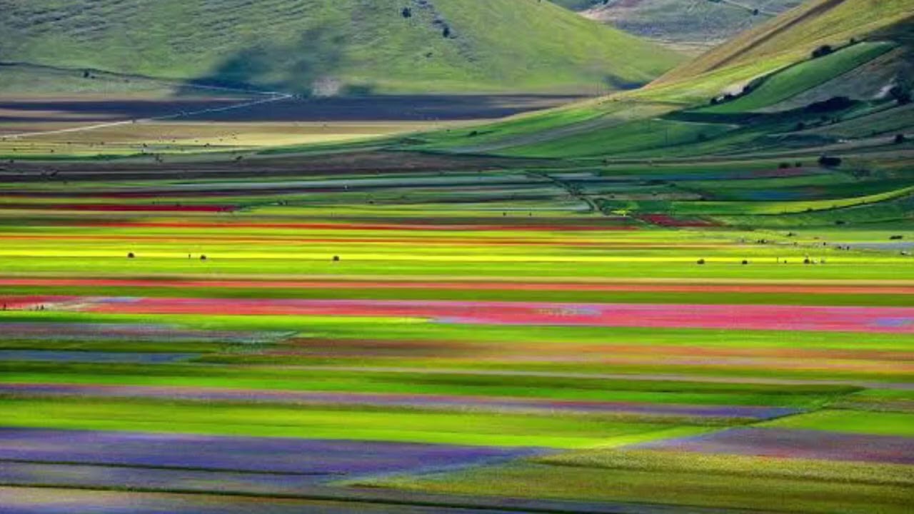 La fioritura di Castelluccio di Norcia🫶