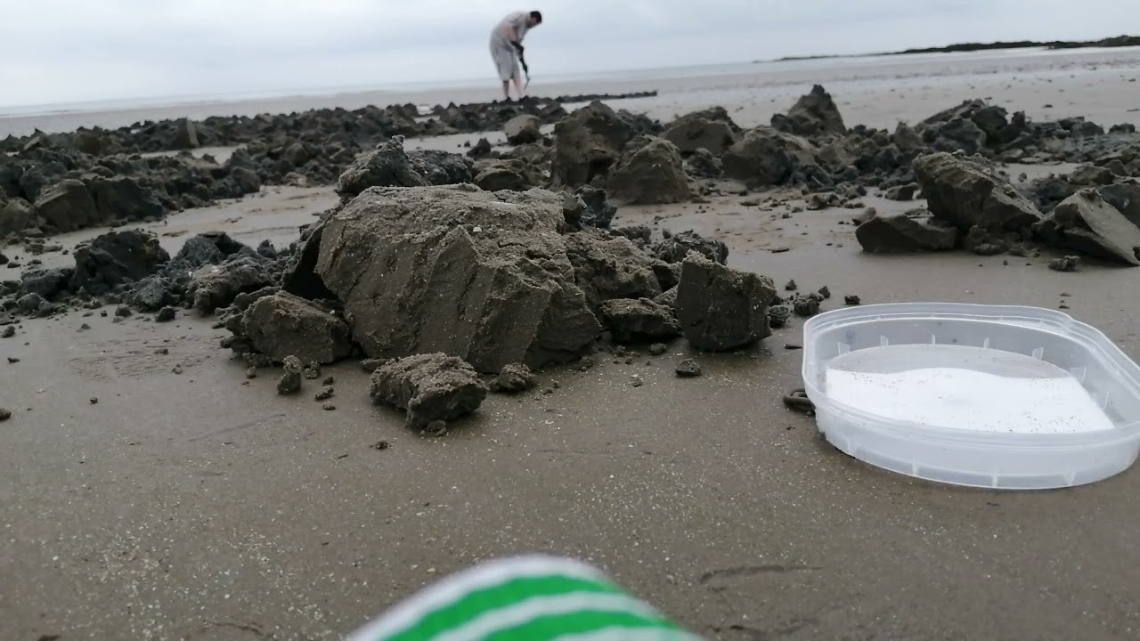 Lug Worm Digging North Dublin Beach.