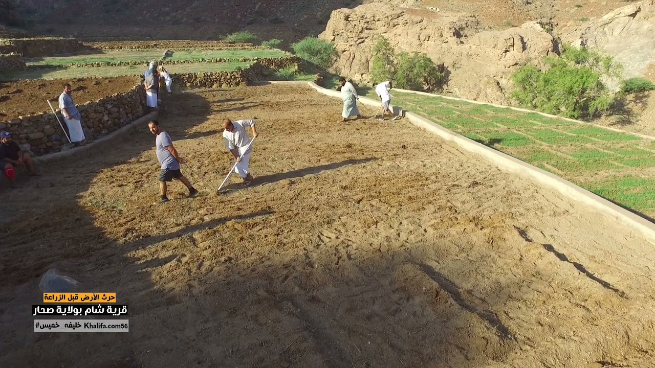 قرية شام