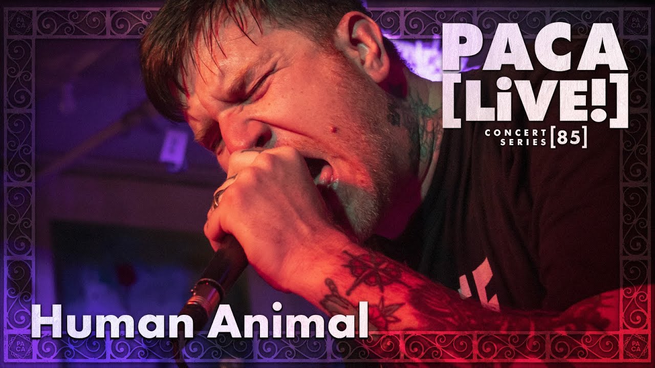 Human Animal • PACA [LiVE!] Concert Series [85]