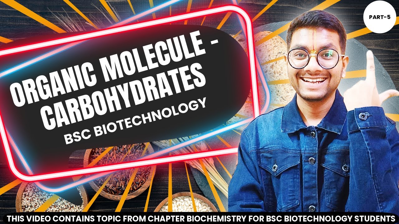 Carbohydrates | Biochemistry | BSc Biotech | @BscVerse