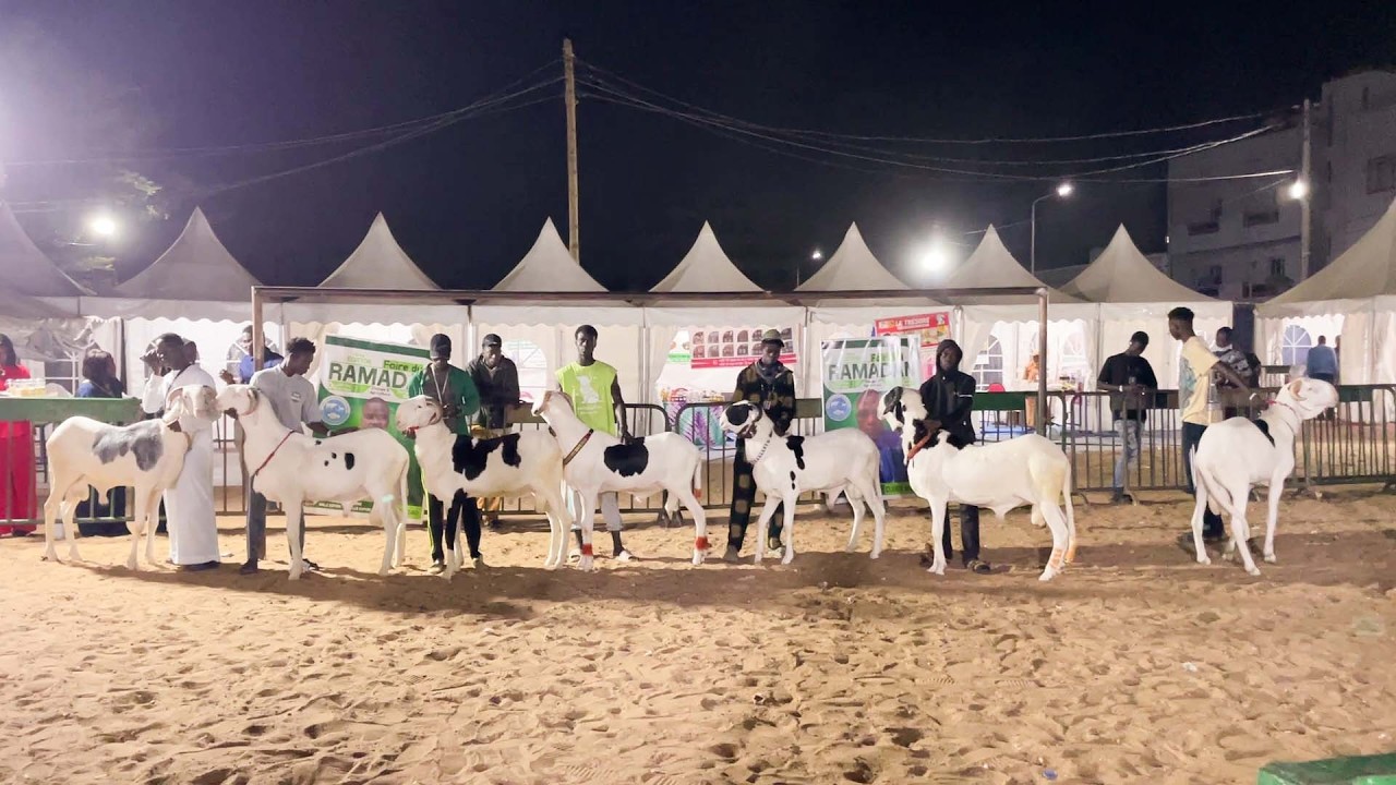 FOIRE RAMADAN ADEM PASSAGE EGNEAUX AGNELLES