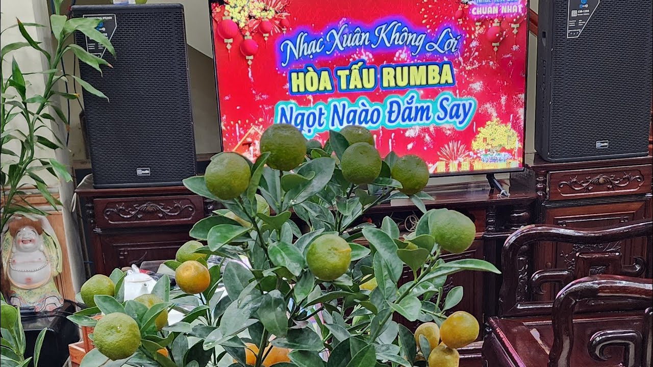 Nhạc xuân không lời xa nhà 2026