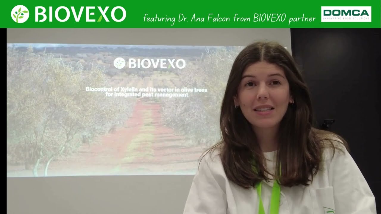 Impact of biocontrol microorganisms in the fight against Xylella and other plant pathogens