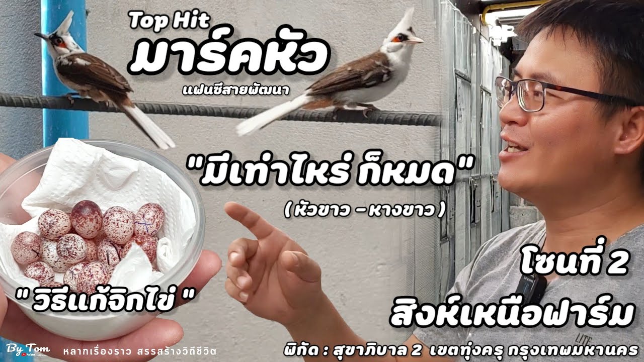 บุกฟาร์ม | นกกรงหัวจุกแฟนซี (พี่เต๋อ สิงห์เหนือฟาร์ม) ทำมาร์คหัว มีเท่าไหร่ ก็หมด | โซนที่ 2 Part.2