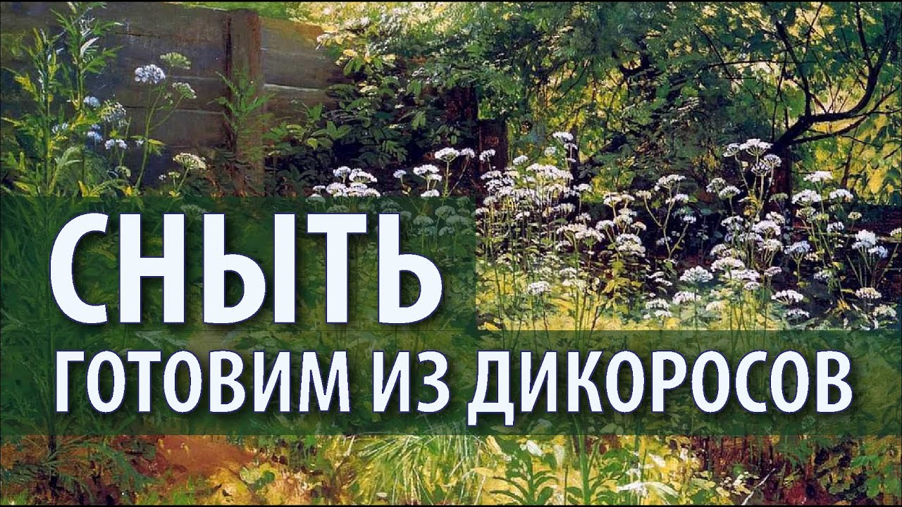 Готовим из дикоросов. Сныть. Елена Александрова, Михаил Вишневский