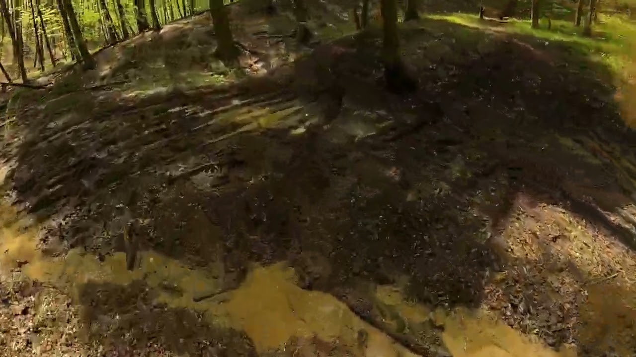Cross country Grubišno Polje(Rastovac) i Stara Marča