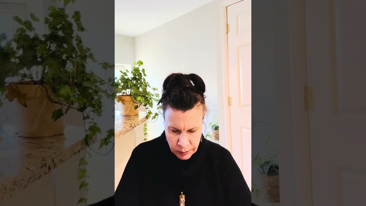 &lsquo;You are not your vessel&rsquo; - COUNCIL OF INTERGALACTIC BEINGS 2/13/2026￼