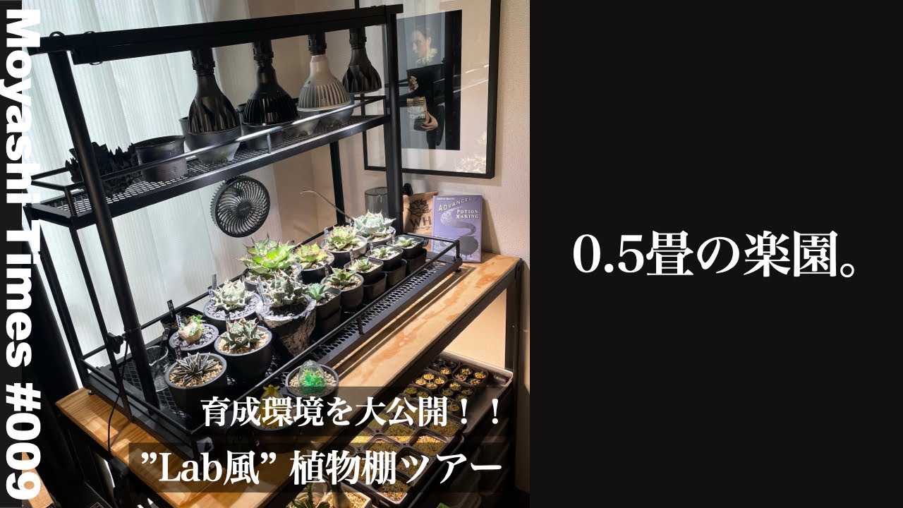 #09【植物棚ツアー！】我が家の アガベ 育成環境を公開！