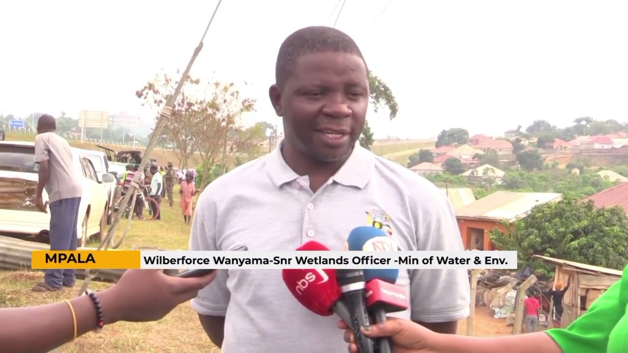 Uganda's drying wetlands,a battle for conservation.